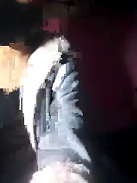 Snapshot of beba1100 chatting on 11/30/25, 04:11 beba1100 online show from 11/30/25, 04:11