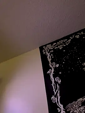 Snapshot of 69xhotcouple chatting on 11/27/25, 08:49 69xhotcouple online show from 11/27/25, 08:49