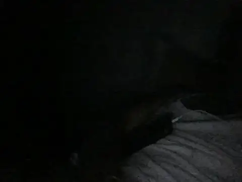 modiji 999 online show from 03/05/26, 10:39