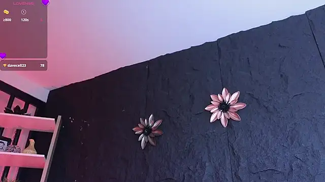 Paulo 527 online show from 01/06/26, 09:29