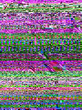 Snapshot of pau1920g chatting on 12/01/25, 08:14 pau1920g online show from 12/01/25, 08:14