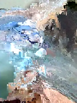 Snapshot of Harry254238 chatting on 01/15/26, 05:38 Harry254238 online show from 01/15/26, 05:38