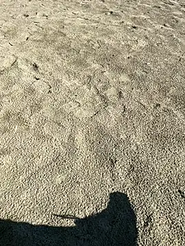 Snapshot of ratemydickbabe chatting on 12/01/25, 09:36 ratemydickbabe online show from 12/01/25, 09:36