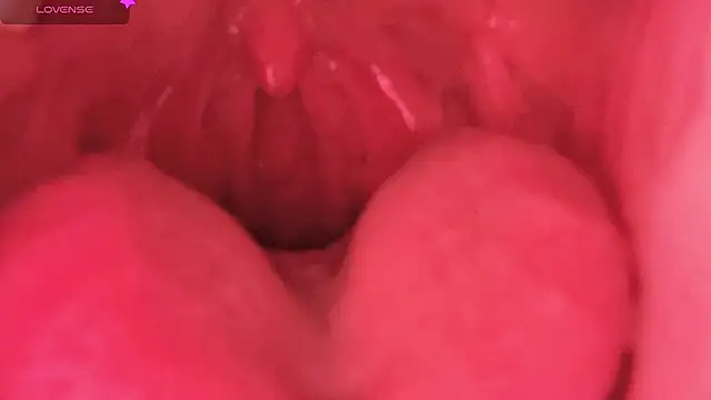 LT-333 online show from 02/07/26, 08:45