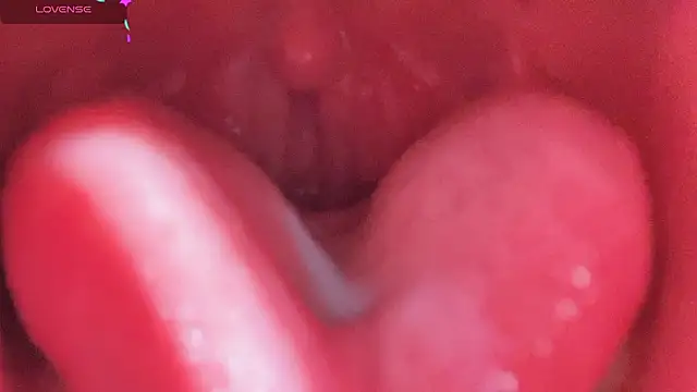 LT-333 online show from 02/25/26, 05:11