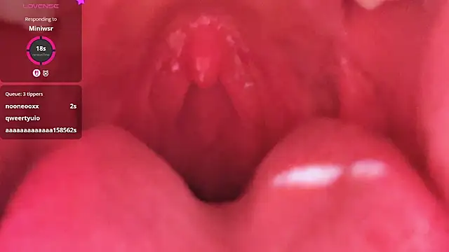 LT-333 online show from 02/26/26, 05:23