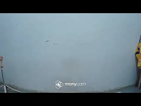 Snapshot of hottiemama69 chatting on 03/21/26, 08:23 hottiemama69 online show from 03/21/26, 08:23