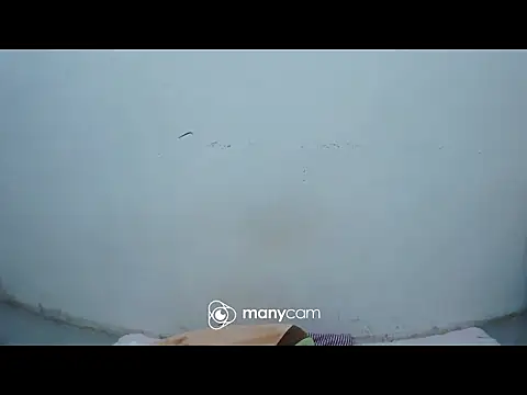 Snapshot of hottiemama69 chatting on 04/11/26, 10:52 hottiemama69 online show from 04/11/26, 10:52