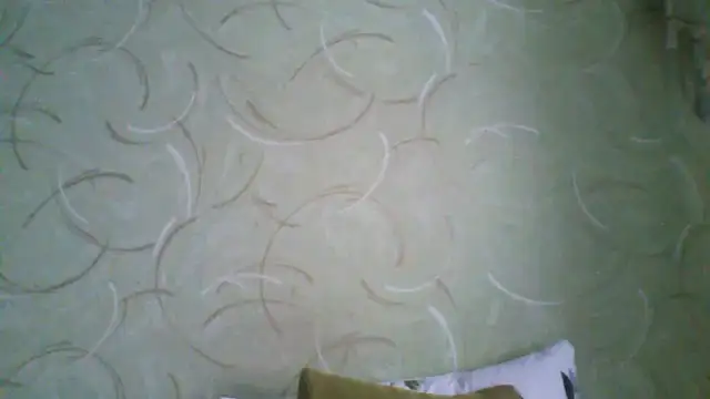 ClaireShannon online show from 03/03/26, 08:20