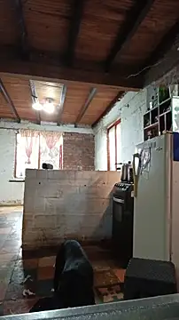 ChanneldelaCroix online show from 02/20/26, 07:25