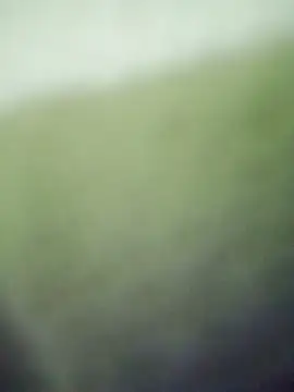 Snapshot of HKOOOH80 chatting on 11/27/25, 11:40 HKOOOH80 online show from 11/27/25, 11:40