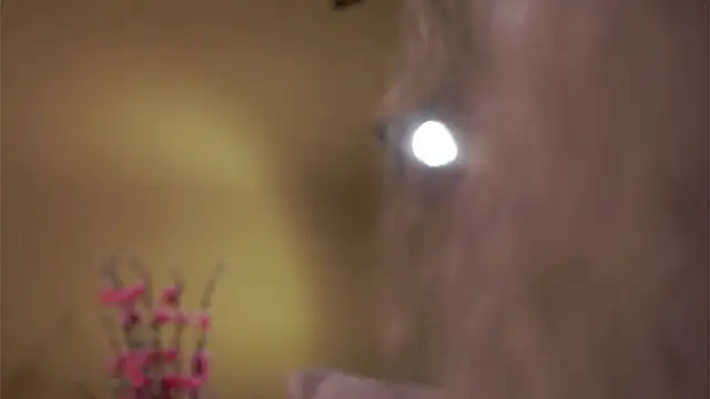 AunclreaVache online show from 03/05/26, 12:56