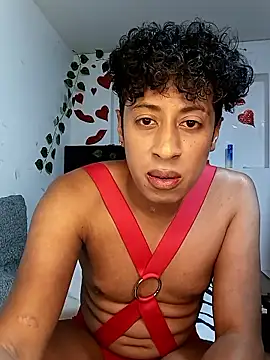 Varek biglatin dick online show from 01/12/26, 02:28