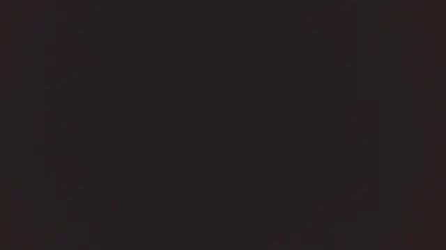 Bellamorgann online show from 12/02/25, 11:00