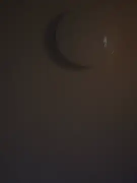 Snapshot of DutchMiracle26 chatting on 04/28/26, 11:10 DutchMiracle26 online show from 04/28/26, 11:10