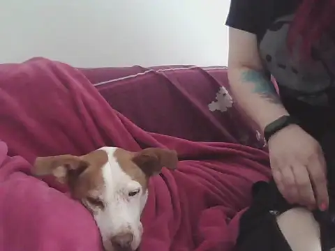 Darkytah online show from 02/20/26, 03:34