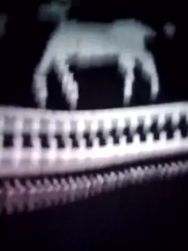 iam-eli online show from 01/16/26, 12:14