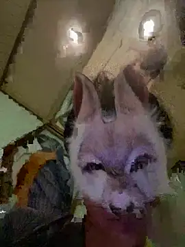 aotaro0721 online show from 02/27/26, 04:01