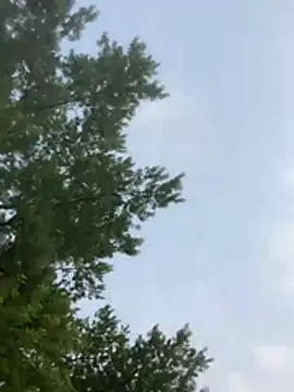 SpunRedneck online show from 07/17/26, 12:17