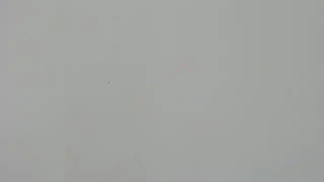 Snapshot of Ladymadinght chatting on 02/04/26, 02:01 Ladymadinght online show from 02/04/26, 02:01