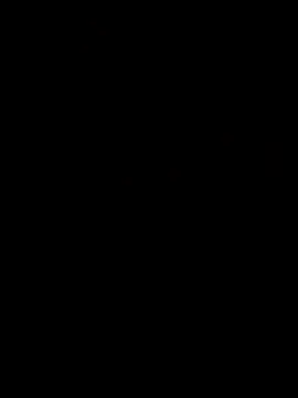 Piazza21 online show from 03/16/26, 08:07