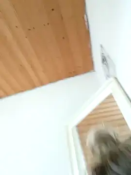 Milas Dreams OF online show from 12/15/25, 08:40