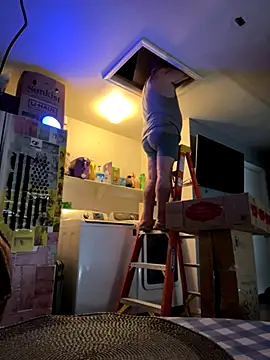  online show from 12/03/25, 04:38