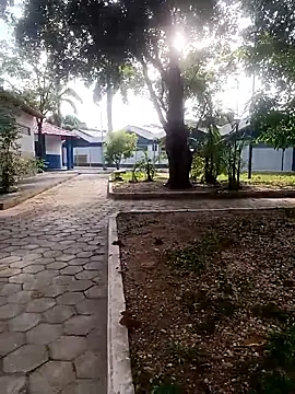 Mchljjk online show from 01/08/26, 10:39