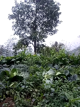 sary-hot2x online show from 02/24/26, 10:46