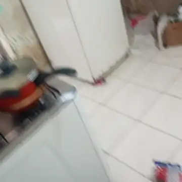 Snapshot of _-_-lu_- chatting on 12/04/25, 04:05 - -lu - online show from 12/04/25, 04:05