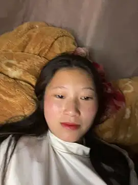 Snapshot of vero-obc chatting on 03/11/26, 11:33 vero-obc online show from 03/11/26, 11:33