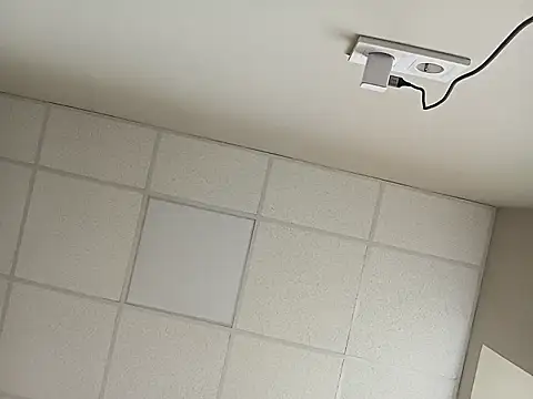 HapinessLovee online show from 03/31/26, 08:59