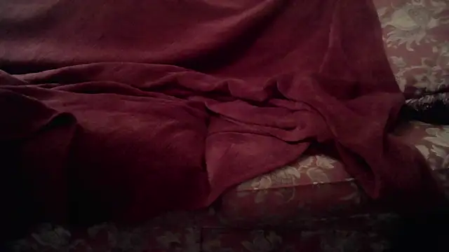 Snapshot of MeatDaddy38 chatting on 03/27/26, 08:41 MeatDaddy38 online show from 03/27/26, 08:41