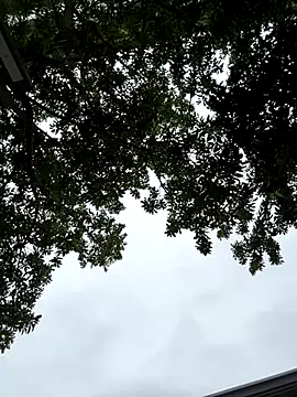 Snapshot of cmvoo chatting on 12/21/25, 06:53 cmvoo online show from 12/21/25, 06:53