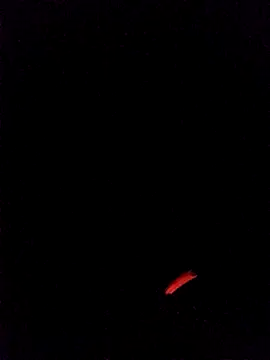 leobct555 online show from 03/22/26, 03:10