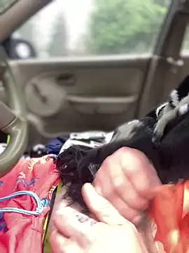 Ldnick69 online show from 03/24/26, 05:40