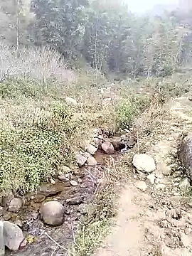 neko-nancy online show from 01/14/26, 02:50