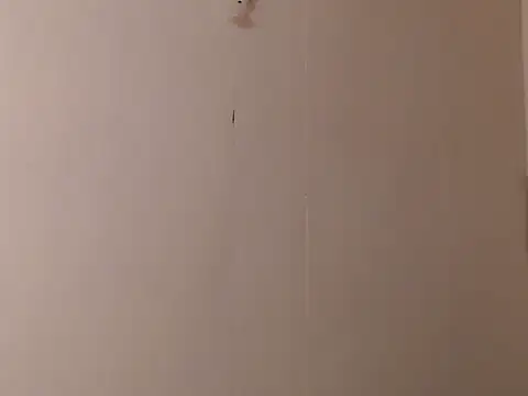 Snapshot of camelastarsairo chatting on 03/31/26, 09:37 camelastarsairo online show from 03/31/26, 09:37