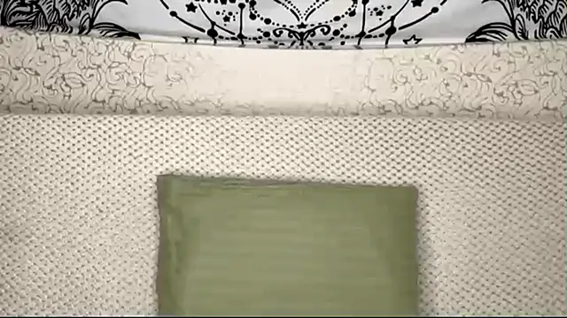 Snapshot of Shining_Robi chatting on 04/10/26, 01:16 Shining Robi online show from 04/10/26, 01:16