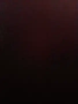 weilpasst online show from 07/01/26, 12:07
