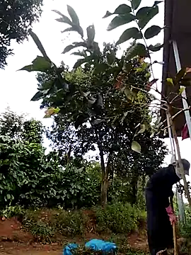 Metting88 online show from 12/15/25, 01:21