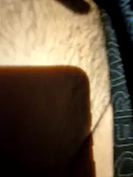 Snapshot of Crcr999 chatting on 04/14/26, 11:55 Crcr999 online show from 04/14/26, 11:55