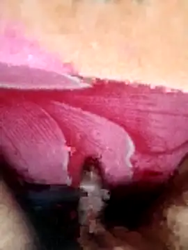 Snapshot of ethanfox966 chatting on 12/15/25, 04:44 ethanfox966 online show from 12/15/25, 04:44