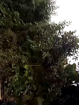 Snapshot of tyty2211 chatting on 12/16/25, 01:21 tyty2211 online show from 12/16/25, 01:21