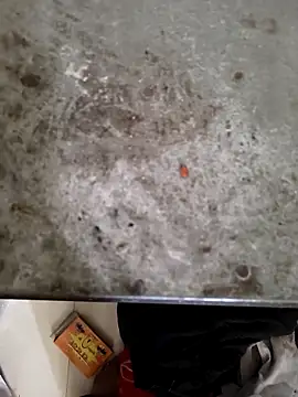 Niteenku online show from 03/28/26, 11:10