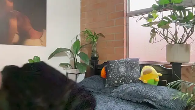 Snapshot of Andy_Belier23 chatting on 02/20/26, 11:54 Andy Belier23 online show from 02/20/26, 11:54