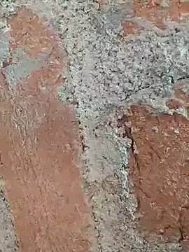 Snapshot of Soniya5533 chatting on 12/14/25, 09:03 Soniya5533 online show from 12/14/25, 09:03