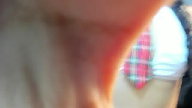 valeria dark  online show from 01/17/26, 08:12