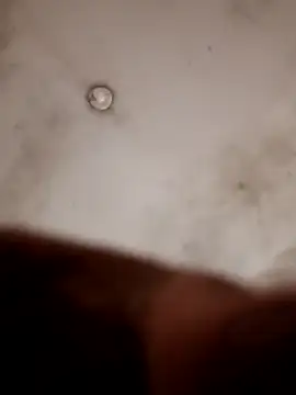 Casadocurioso50 online show from 04/07/26, 04:18