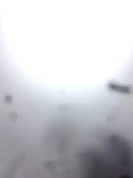 M8ygcthf3 online show from 03/08/26, 07:28